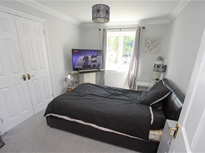 Picture 16